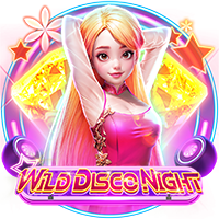 Wild Disco Night